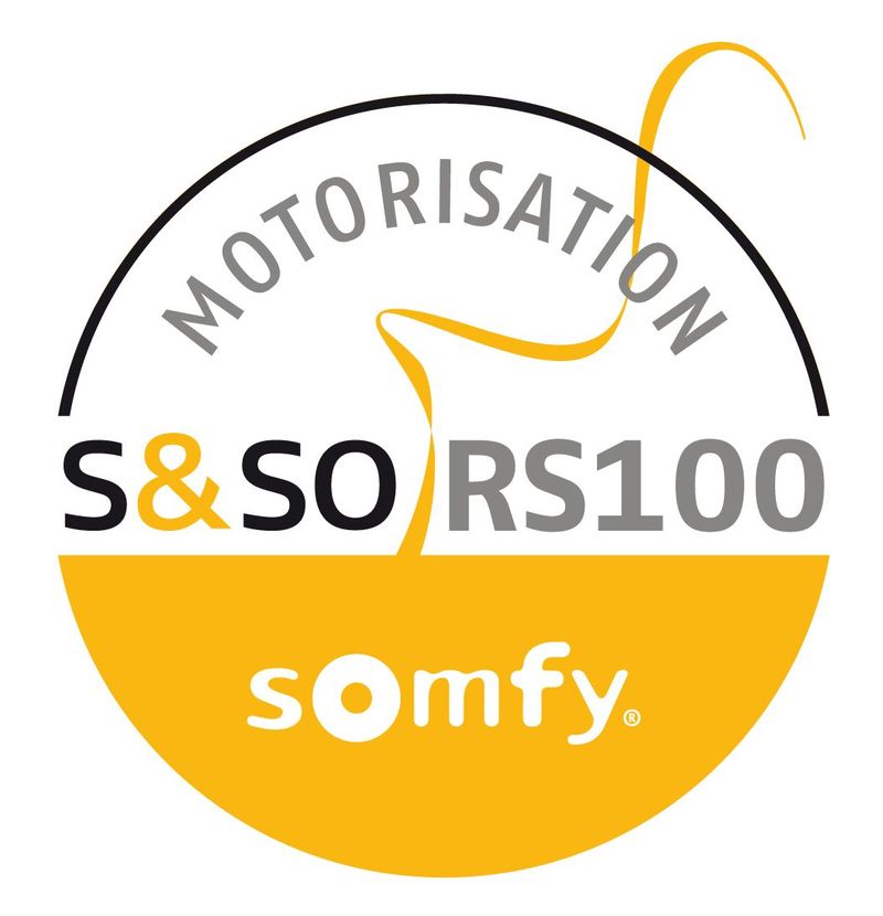 motorisation rs100 somfy io