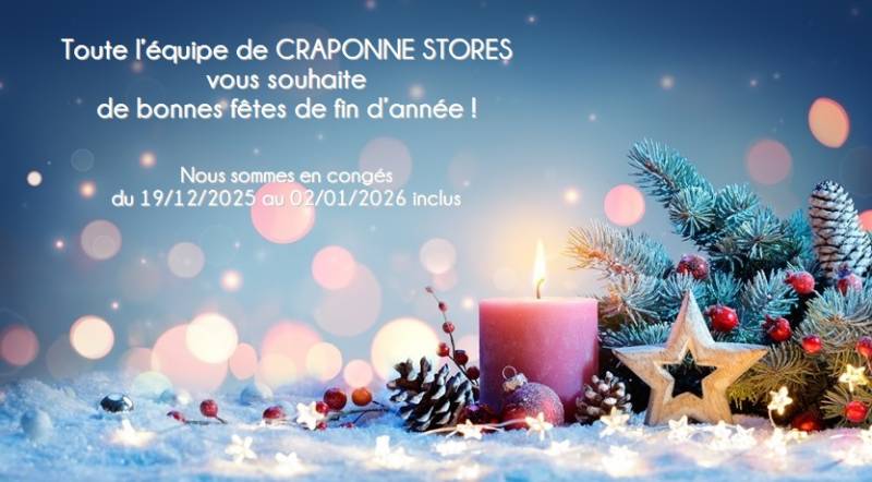 Bonnes fêtes de fin d'année